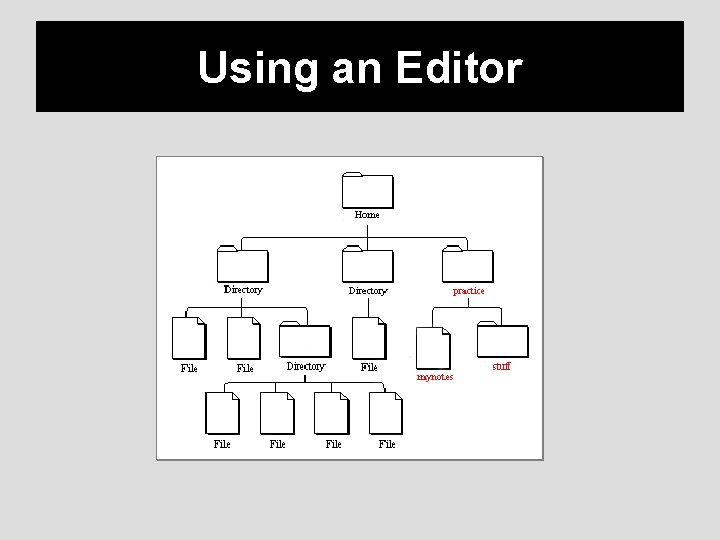 Using an Editor 