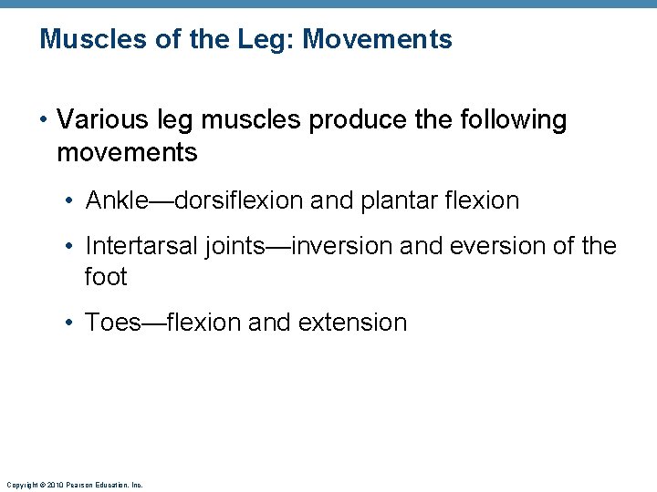 Muscles of the Leg: Movements • Various leg muscles produce the following movements • Muscles of the Leg: Movements • Various leg muscles produce the following movements •