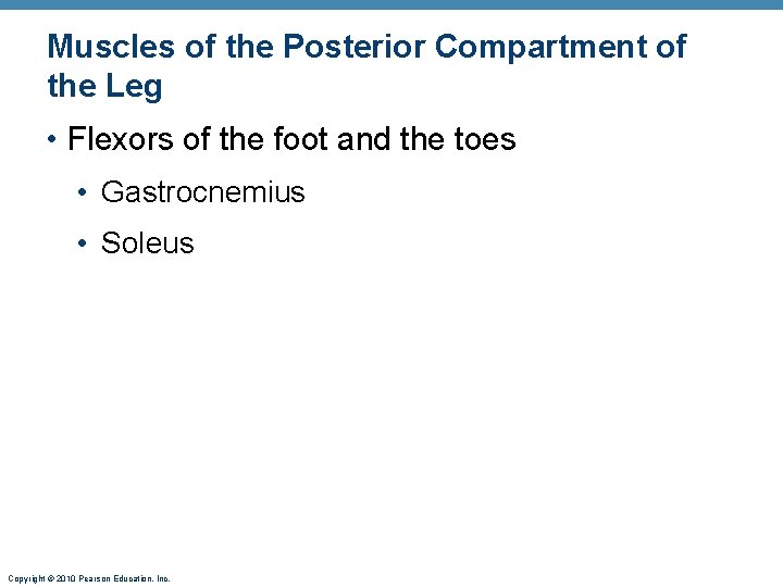 Muscles of the Posterior Compartment of the Leg • Flexors of the foot and Muscles of the Posterior Compartment of the Leg • Flexors of the foot and