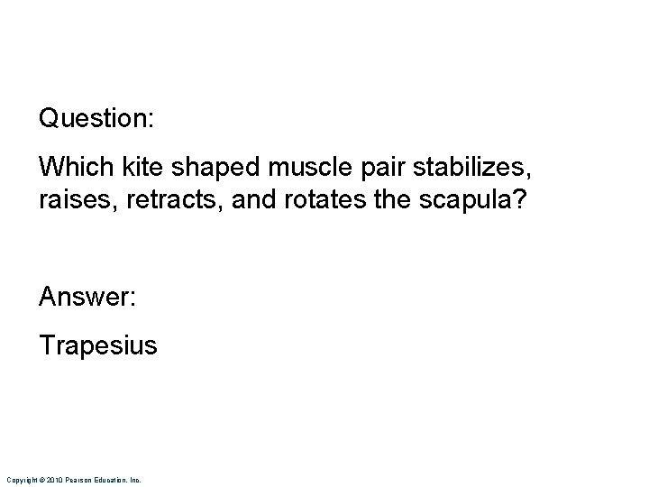 Question: Which kite shaped muscle pair stabilizes, raises, retracts, and rotates the scapula? Answer: Question: Which kite shaped muscle pair stabilizes, raises, retracts, and rotates the scapula? Answer: