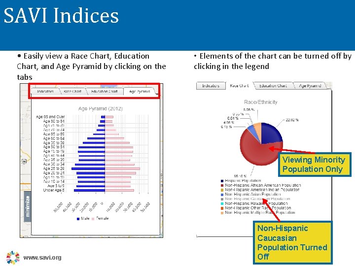 SAVI Indices • Easily view a Race Chart, Education Chart, and Age Pyramid by