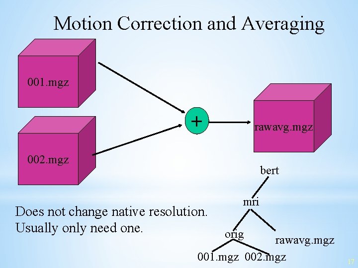 Motion Correction and Averaging 001. mgz + rawavg. mgz 002. mgz bert Does not