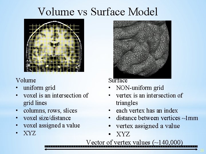 Volume vs Surface Model Volume • uniform grid • voxel is an intersection of