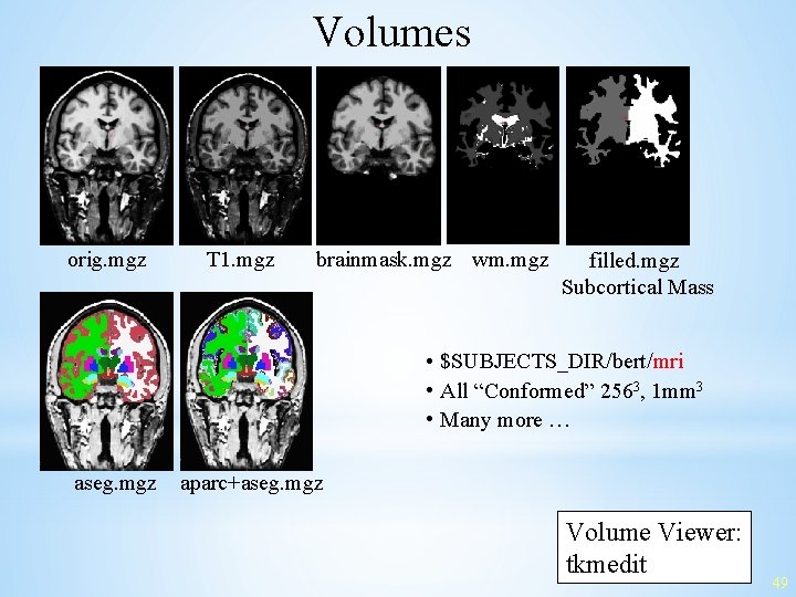 Volumes orig. mgz T 1. mgz brainmask. mgz wm. mgz filled. mgz Subcortical Mass