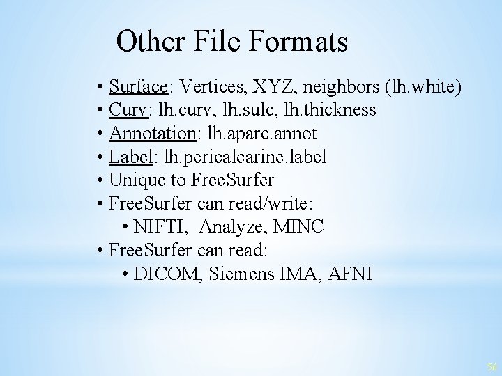 Other File Formats • Surface: Vertices, XYZ, neighbors (lh. white) • Curv: lh. curv,