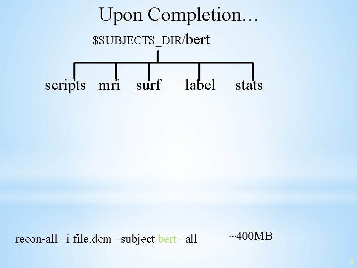 Upon Completion… $SUBJECTS_DIR/bert scripts mri surf label recon-all –i file. dcm –subject bert –all