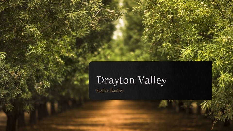 Drayton Valley Saylor Kuefler 