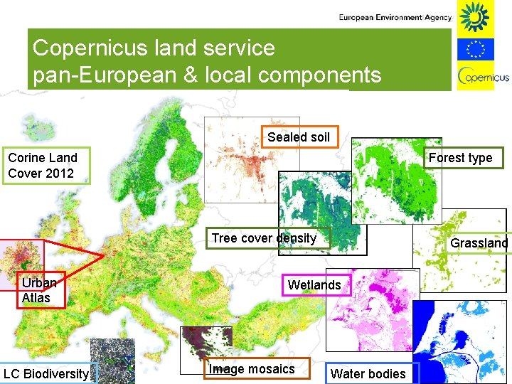 Copernicus land service pan-European & local components Sealed soil Forest type Corine Land Cover