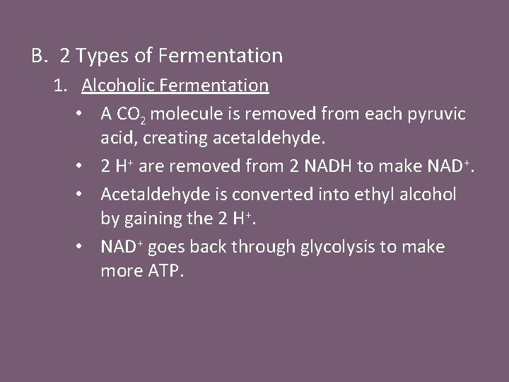 B. 2 Types of Fermentation 1. Alcoholic Fermentation • A CO 2 molecule is