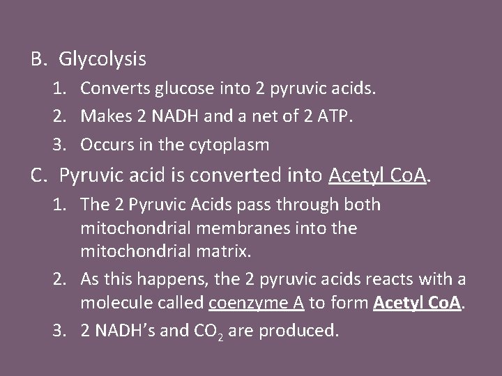 B. Glycolysis 1. Converts glucose into 2 pyruvic acids. 2. Makes 2 NADH and