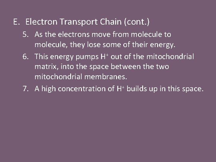 E. Electron Transport Chain (cont. ) 5. As the electrons move from molecule to