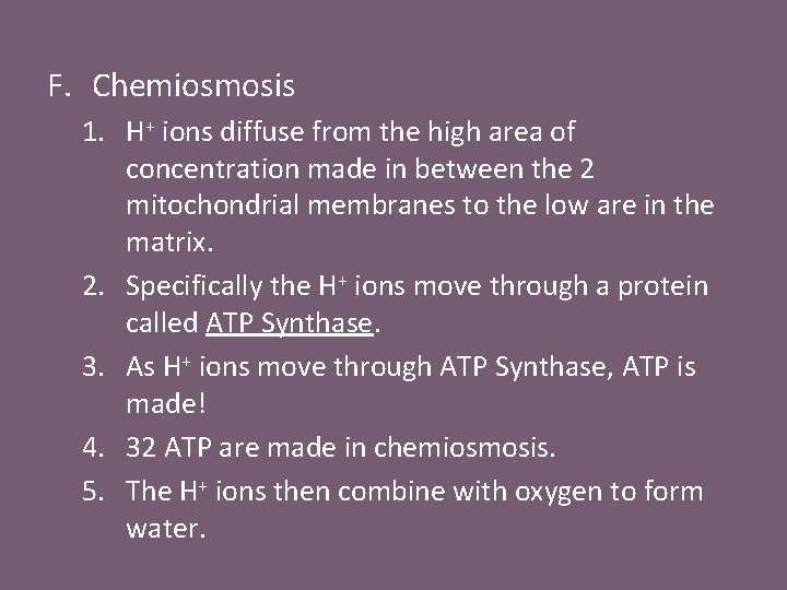 F. Chemiosmosis 1. H+ ions diffuse from the high area of concentration made in
