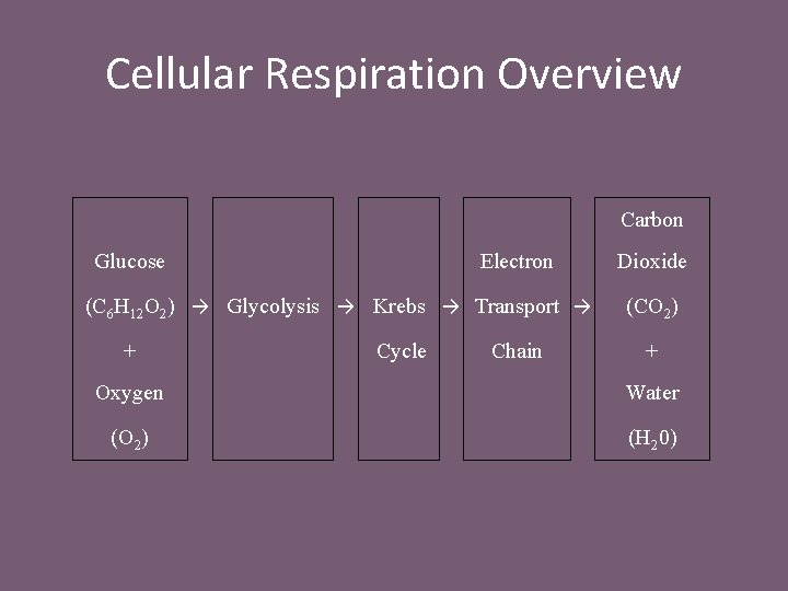 Cellular Respiration Overview Carbon Glucose Electron (C 6 H 12 O 2) → Glycolysis