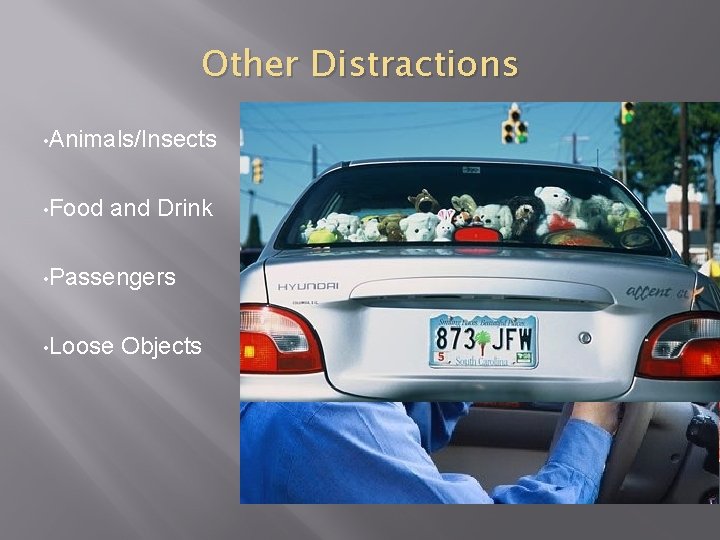 Other Distractions • Animals/Insects • Food and Drink • Passengers • Loose Objects 