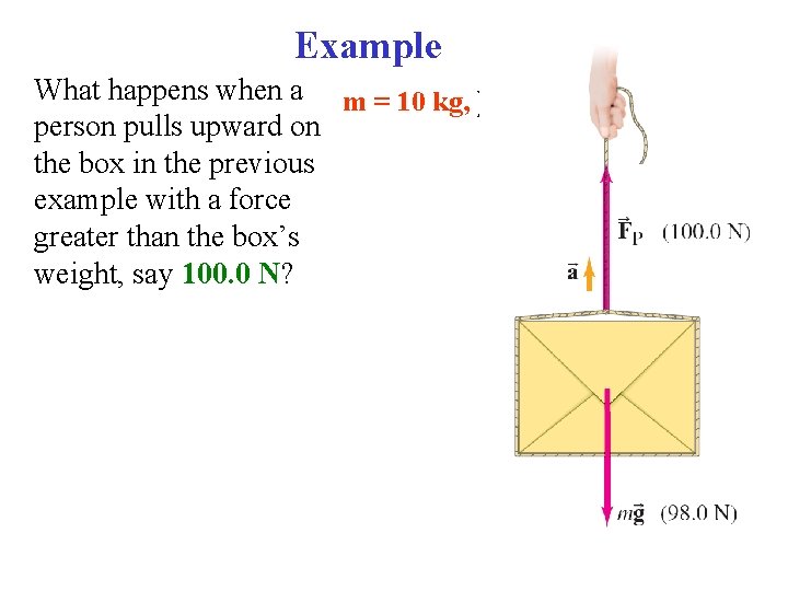 Example l What happens when a m = 10 kg, ∑F = ma person