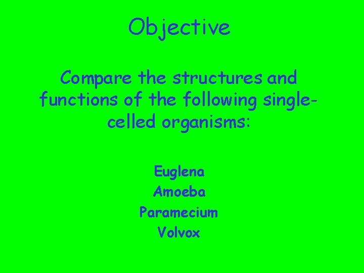 Objective Compare the structures and functions of the following singlecelled organisms: Euglena Amoeba Paramecium