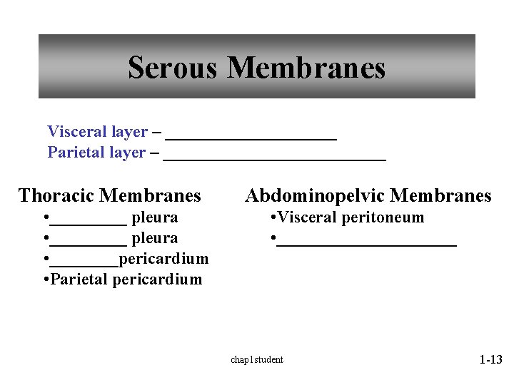 Serous Membranes Visceral layer – __________ Parietal layer – _____________ Thoracic Membranes • _________ Serous Membranes Visceral layer – __________ Parietal layer – _____________ Thoracic Membranes • _________