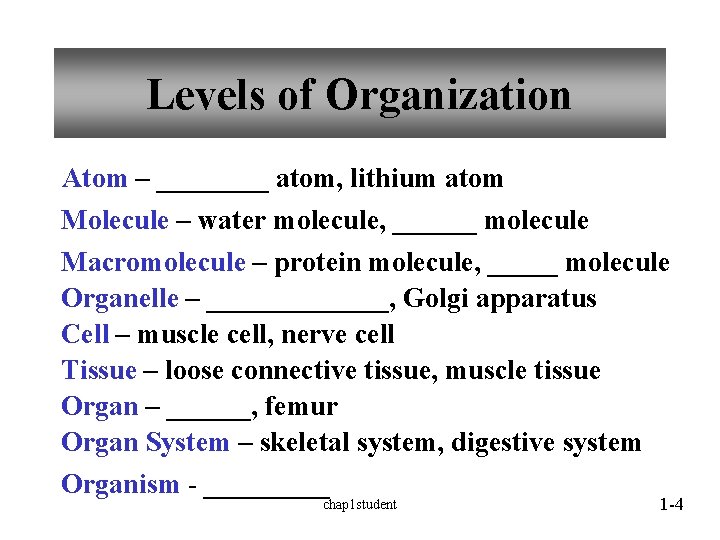 Levels of Organization Atom – ____ atom, lithium atom Molecule – water molecule, ______ Levels of Organization Atom – ____ atom, lithium atom Molecule – water molecule, ______