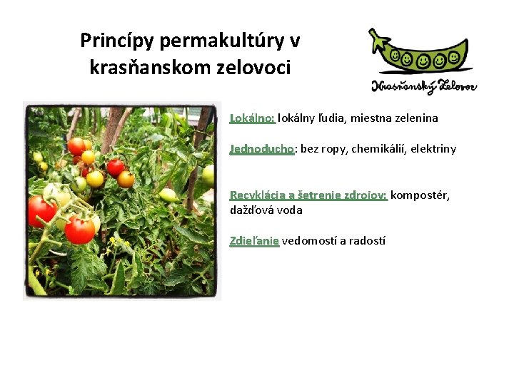 Princípy permakultúry v krasňanskom zelovoci Lokálno: lokálny ľudia, miestna zelenina Jednoducho: Jednoducho bez ropy,