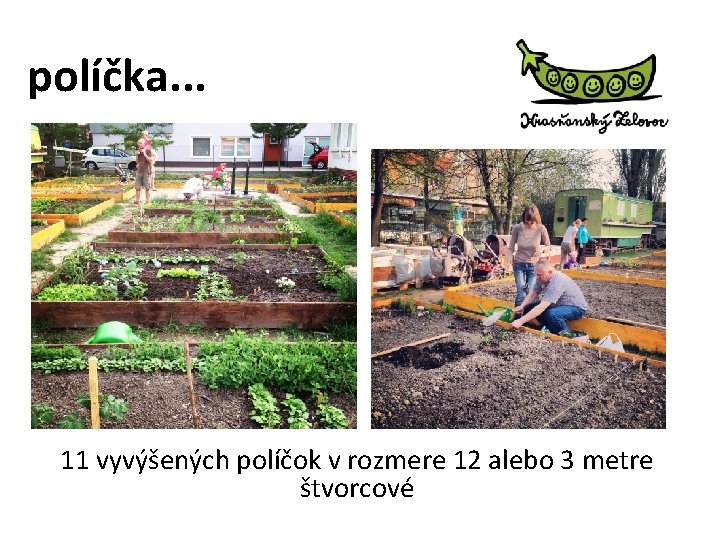 políčka. . . 11 vyvýšených políčok v rozmere 12 alebo 3 metre štvorcové 