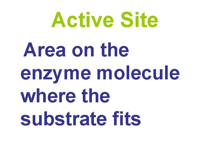 Active Site Area on the enzyme molecule where the substrate fits 