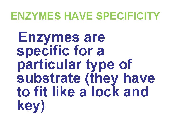 ENZYMES HAVE SPECIFICITY Enzymes are specific for a particular type of substrate (they have