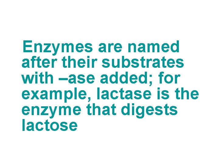 Enzymes are named after their substrates with –ase added; for example, lactase is the