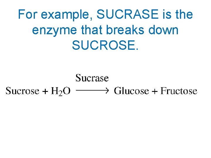 For example, SUCRASE is the enzyme that breaks down SUCROSE. 