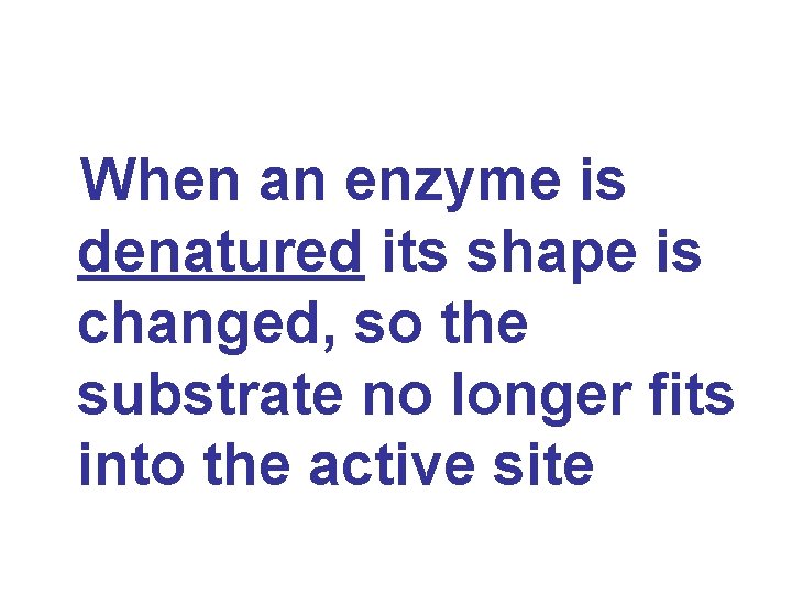When an enzyme is denatured its shape is changed, so the substrate no longer