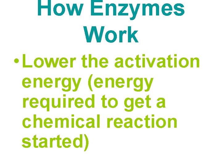 How Enzymes Work • Lower the activation energy (energy required to get a chemical