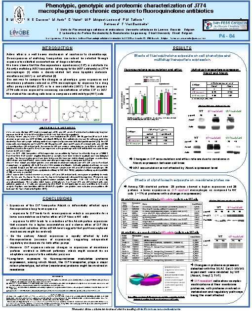 Phenotypic, genotypic and proteomic characterization of J 774 macrophages upon chronic exposure to fluoroquinolone