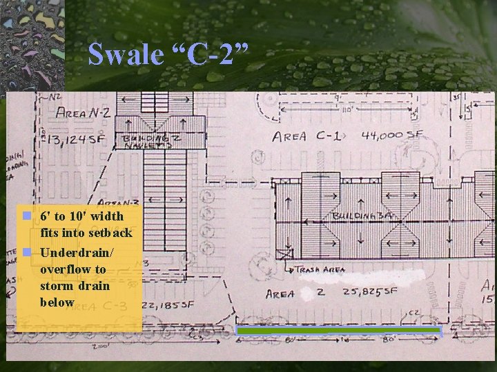 Swale “C-2” n 6' to 10' width fits into setback n Underdrain/ overflow to