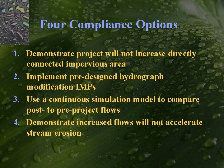 Four Compliance Options 1. Demonstrate project will not increase directly connected impervious area 2.