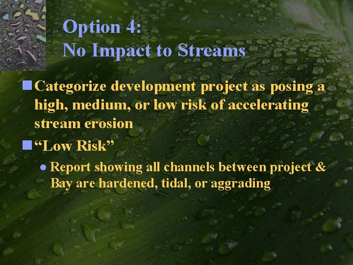 Option 4: No Impact to Streams n Categorize development project as posing a high,