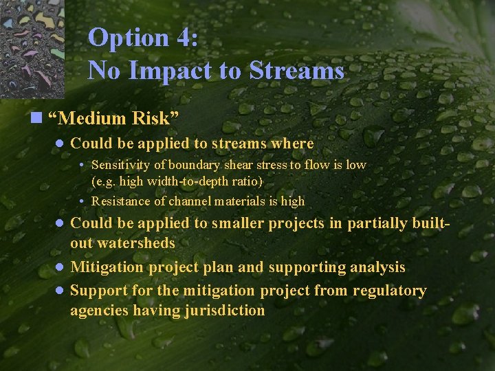 Option 4: No Impact to Streams n “Medium Risk” ● Could be applied to