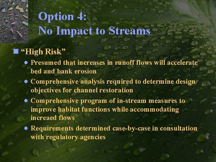 Option 4: No Impact to Streams n “High Risk” ● Presumed that increases in