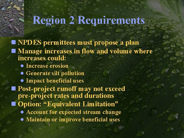 Region 2 Requirements n NPDES permittees must propose a plan n Manage increases in