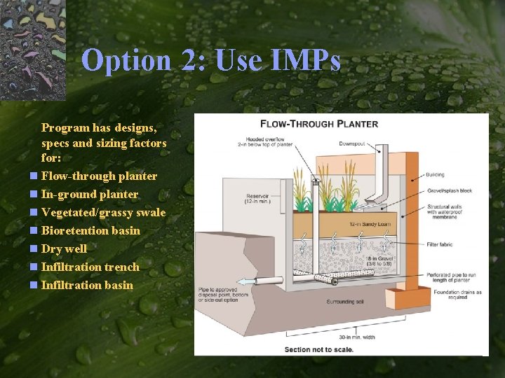 Option 2: Use IMPs Program has designs, specs and sizing factors for: n Flow-through