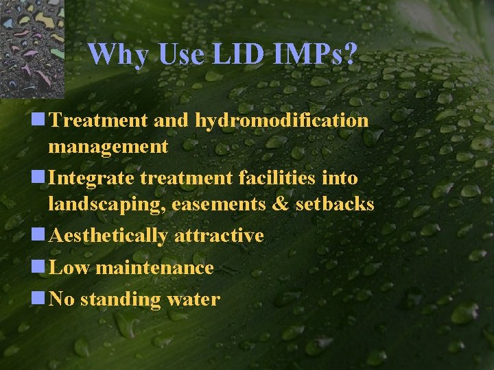 Why Use LID IMPs? n Treatment and hydromodification management n Integrate treatment facilities into