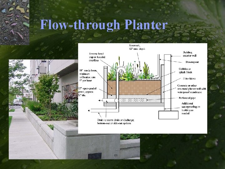 Flow-through Planter 