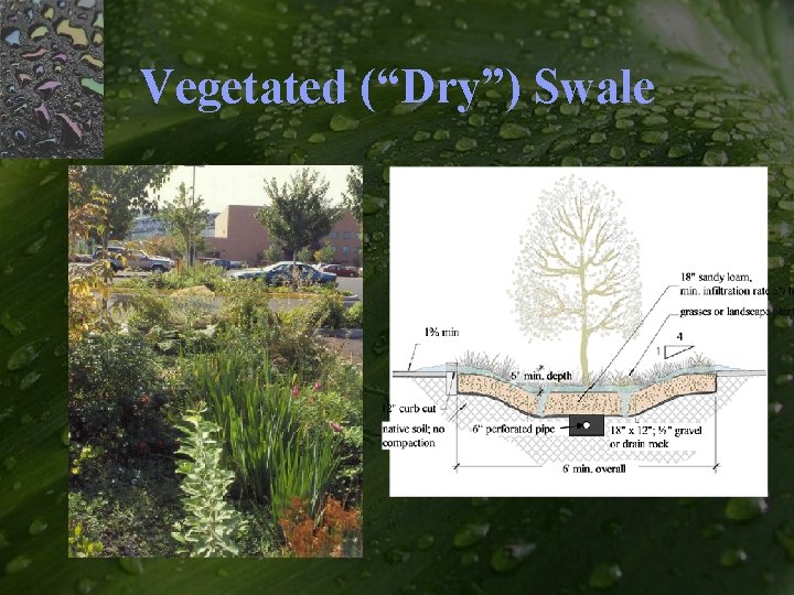 Vegetated (“Dry”) Swale 