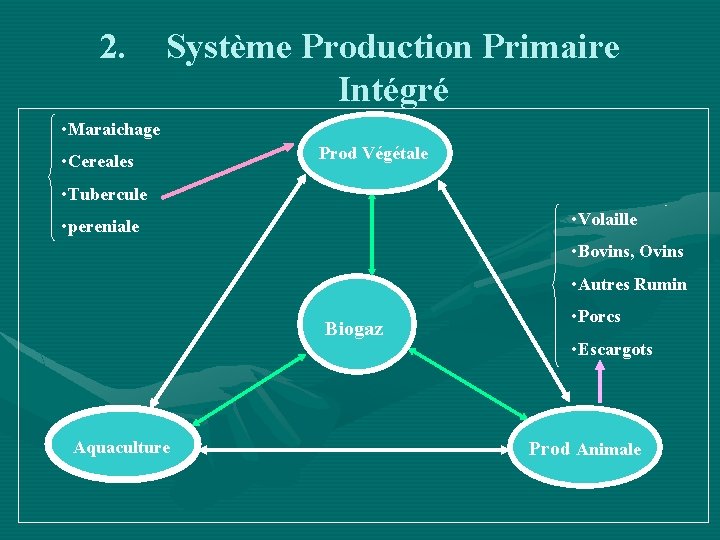 2. Système Production Primaire Intégré • Maraichage • Cereales Prod Végétale • Tubercule •