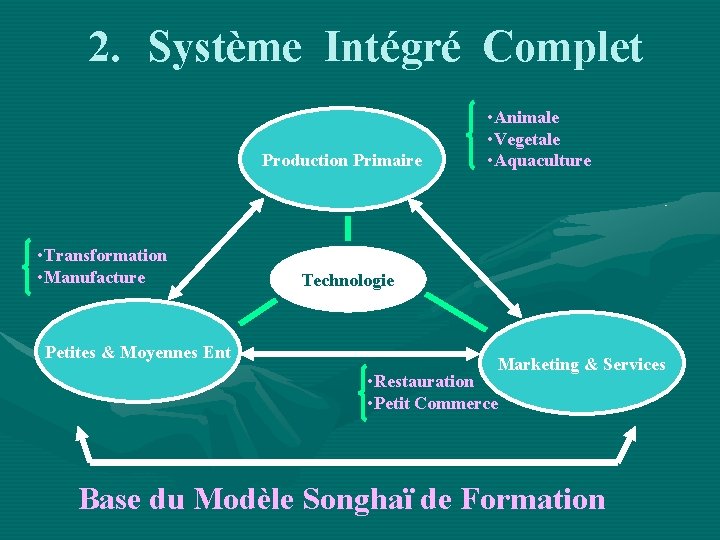 2. Système Intégré Complet Production Primaire • Transformation • Manufacture Petites & Moyennes Ent