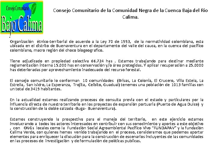 Consejo Comunitario de la Comunidad Negra de la Cuenca Baja del Rio Calima. Organización