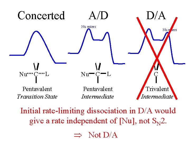 Concerted A/D D/A Nu enters Nu C L Pentavalent Transition State Nu C Nu