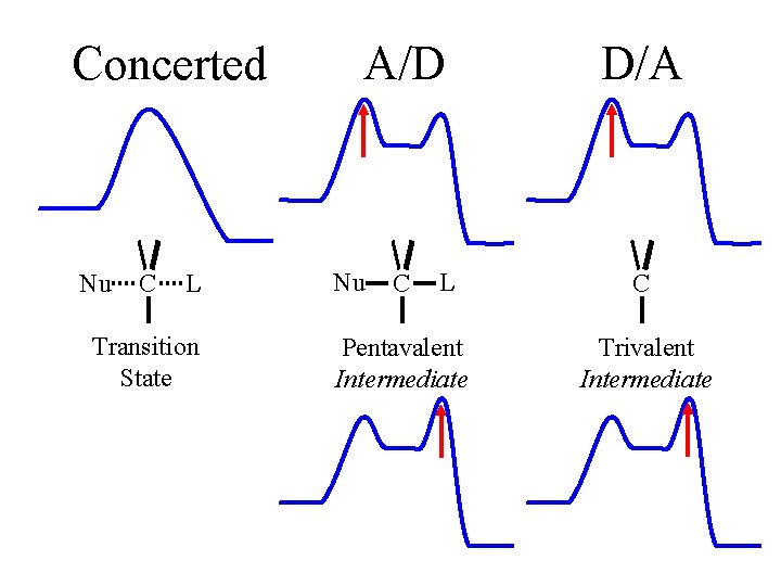Concerted Nu C L Transition State A/D Nu C L Pentavalent Intermediate D/A C