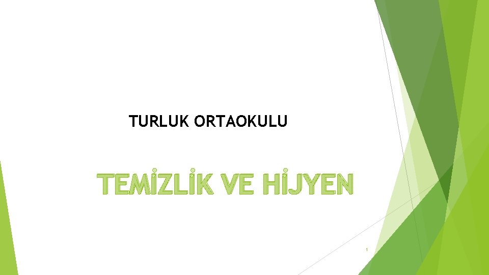 TURLUK ORTAOKULU TEMİZLİK VE HİJYEN 1 