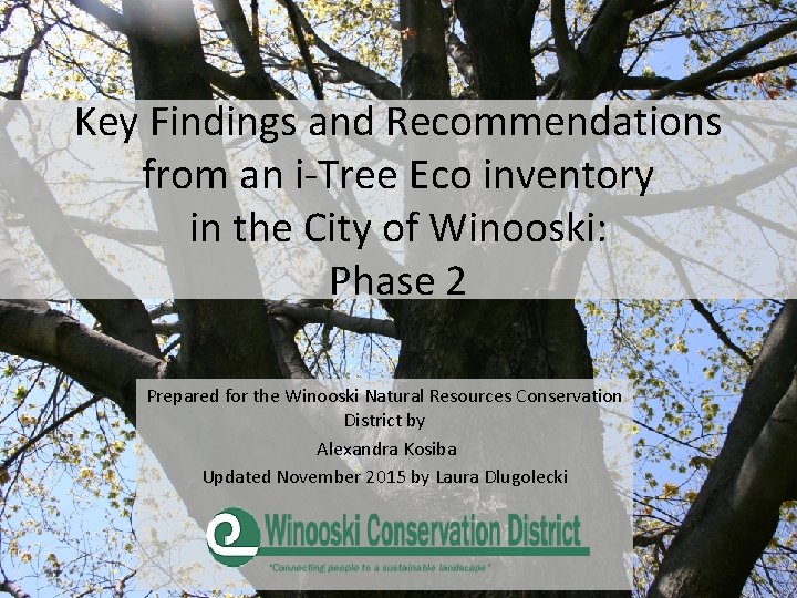 Key Findings and Recommendations from an i-Tree Eco inventory in the City of Winooski: