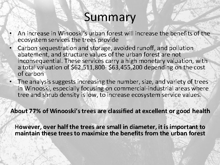 Summary • An increase in Winooski’s urban forest will increase the benefits of the