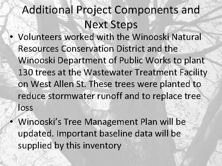 Additional Project Components and Next Steps • Volunteers worked with the Winooski Natural Resources